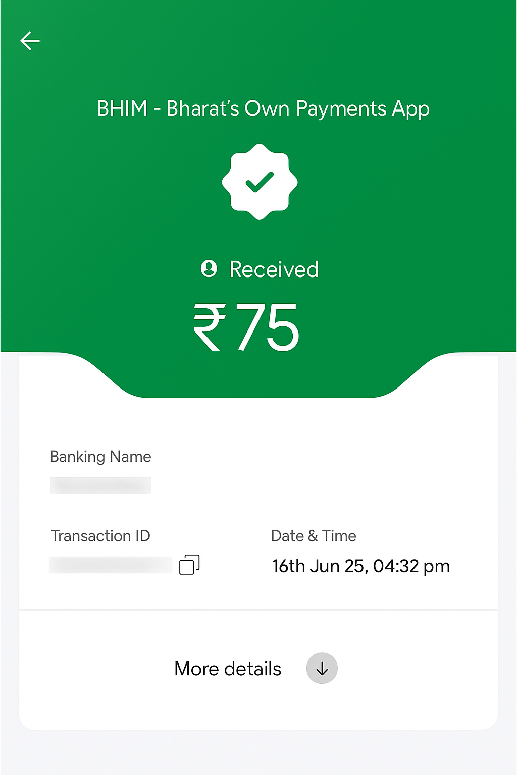 Payment 12