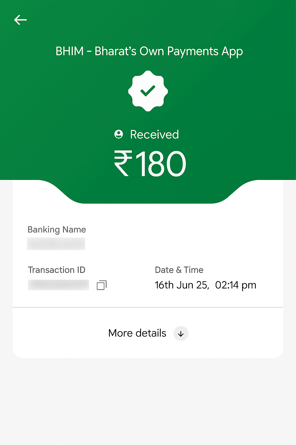 Payment 13